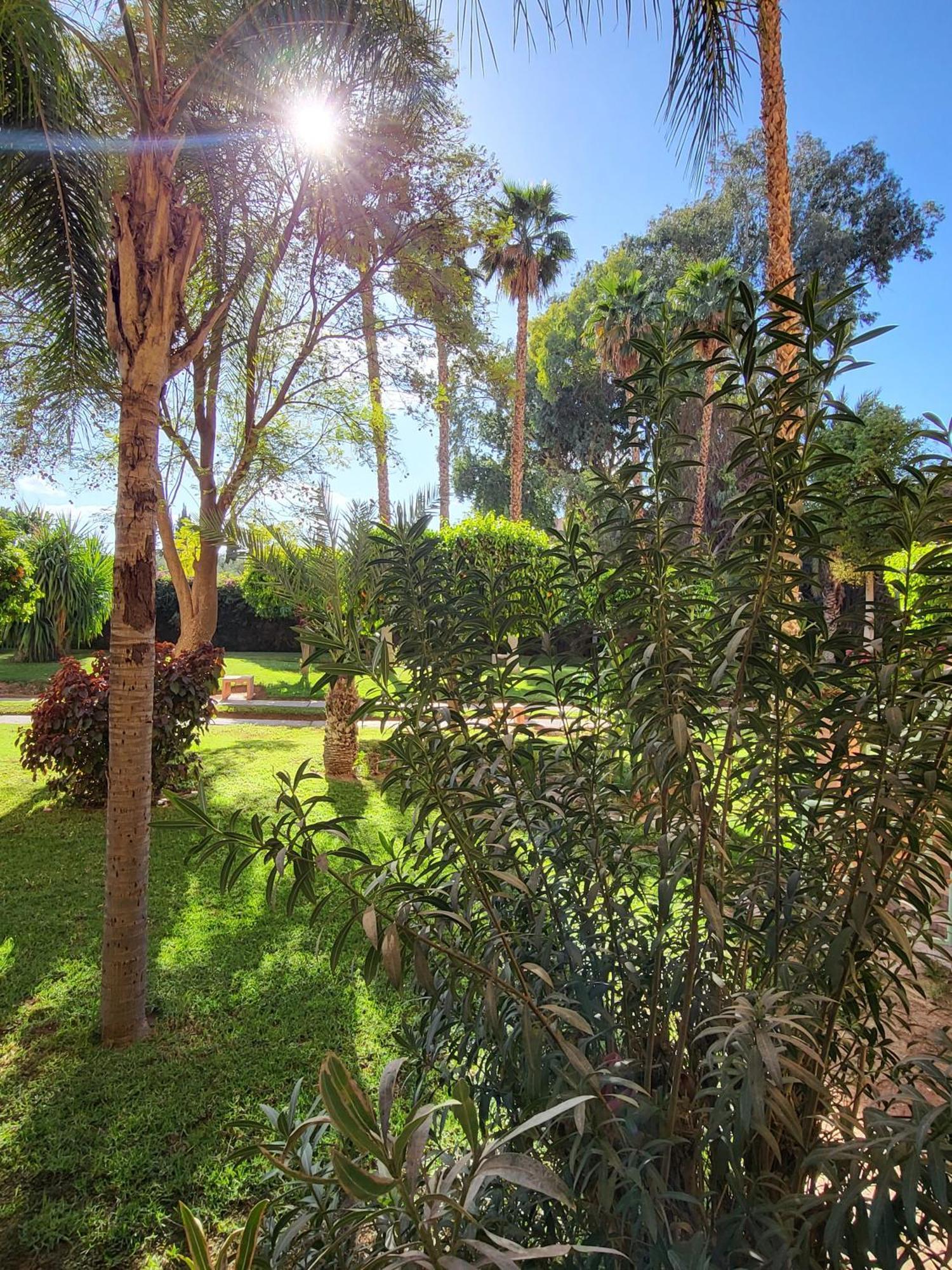 Oxygene Lejlighed Marrakesh Eksteriør billede